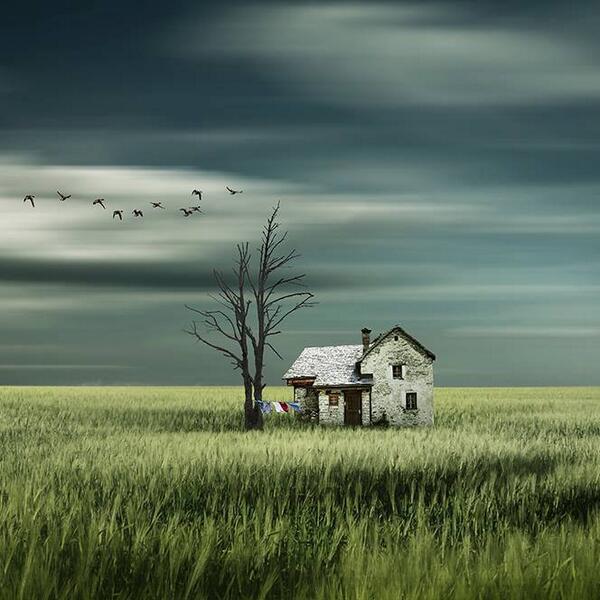 Gabriele Corno tweet media