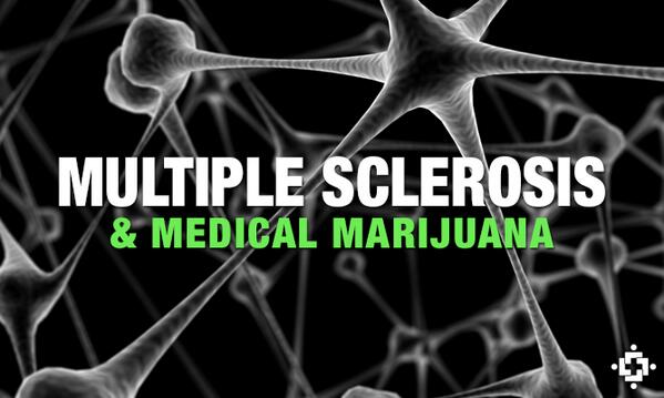 medicaljane's tweet photo. #Cannabis #Classroom: #Marijuana-Based #Medicine For Patients Living With #MultipleSclerosis: http://t.co/uAdfEjoQU9 http://t.co/pjiVuIS2s6