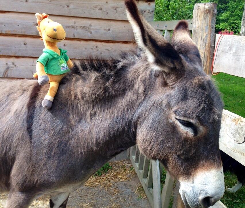 Permalien de l'image intégrée