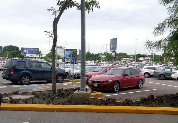 Los vehículos de lujo y deportivos, son los que mas inciden en usar los lugares para personas Discapacitadas.