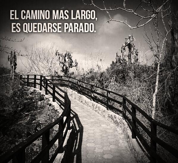 Fselecta's tweet image. Buen inicio de semana de laboral. Te dejamos con una frase.