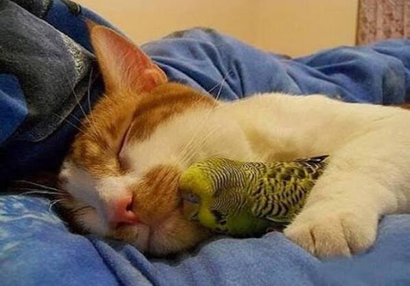 yigit1efe's tweet photo. ? http://t.co/9PtcYacoxR