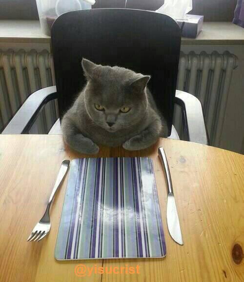 yisucrist's tweet photo. cuando t llaman para comer pero aun no está lista la comida http://t.co/D71Hlc6GYF