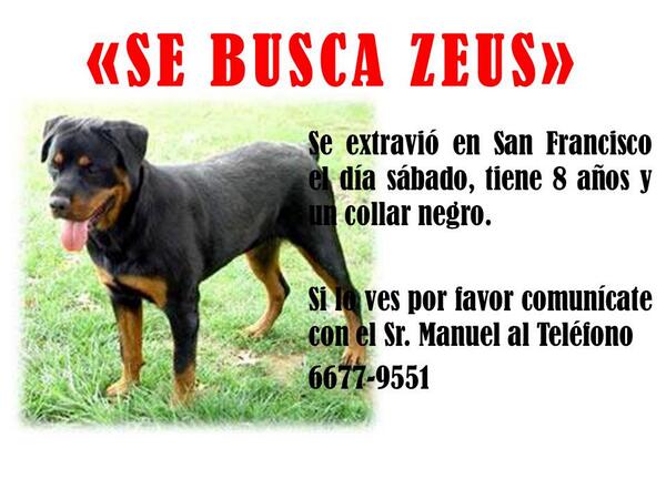 Fundación San Francisco de Asís ( FUNDASIS ) tweet media