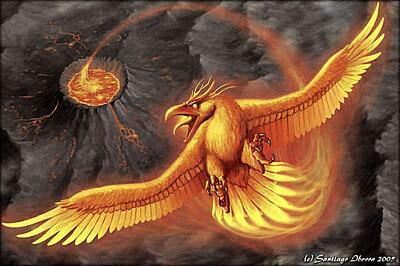 30 Trend Terbaru Gambar Burung Phoenix Api The Toosh 30 Trend Terbaru Gambar Burung Phoenix Api The Toosh