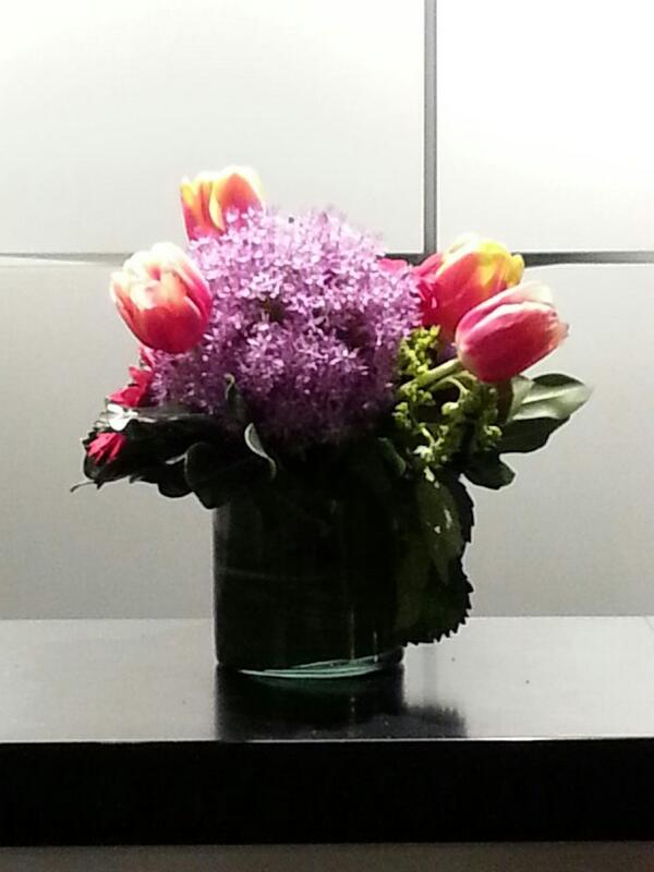 SoupOrSteph's tweet image. Thanks for the new follows my tweeting friends!