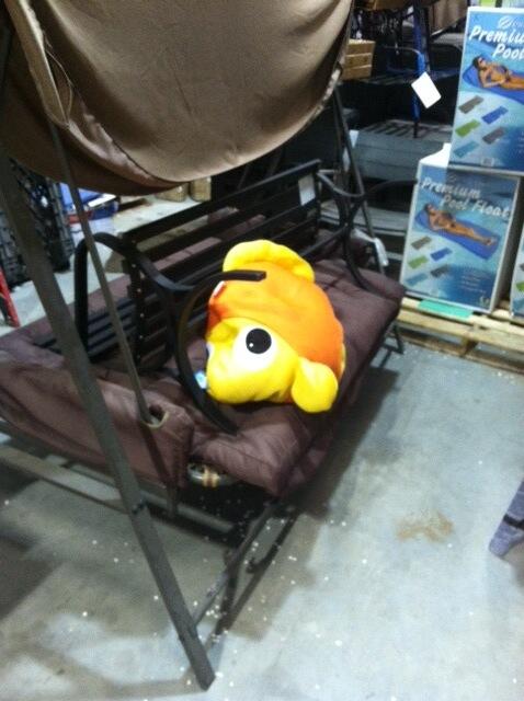 PoolPetz tweet picture