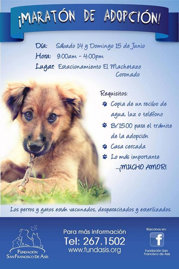 Fundación San Francisco de Asís ( FUNDASIS ) tweet media