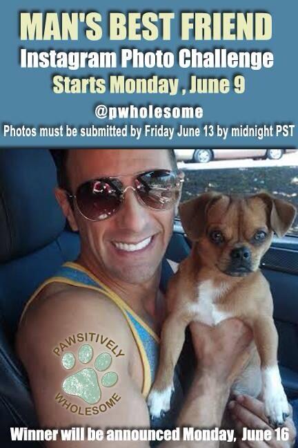 Follow <a href="/PWholesome/">PawsitivelyWholesome</a> on Instagram for a chance to win a sweet prize! #pwholesome #fathersday