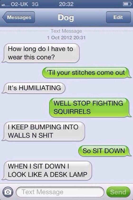 FunnyTextings's tweet photo. Texting with your dog http://t.co/WfdiMgt1jc