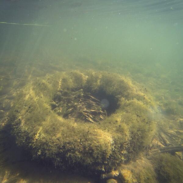 mainstreamflyco's tweet image. Some pictures from last weekend. #flyfishing