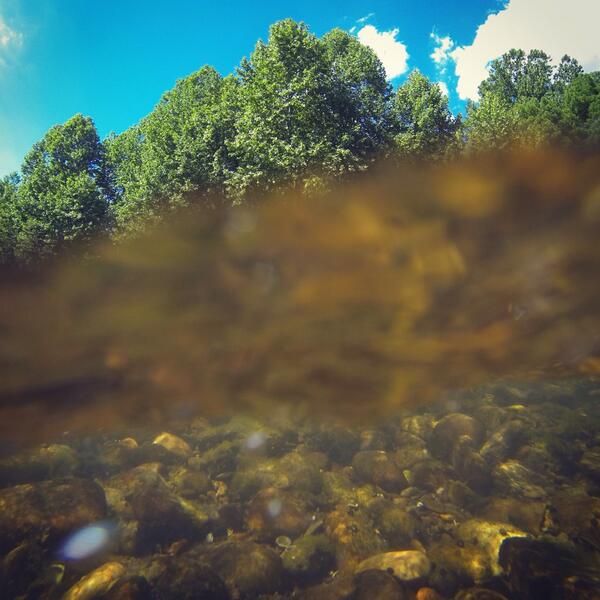 mainstreamflyco's tweet image. Some pictures from last weekend. #flyfishing