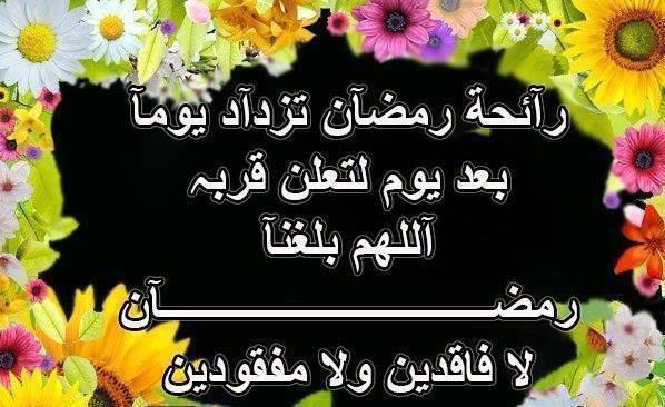 111_meado's tweet photo. http://t.co/OzOtcjiQXQ