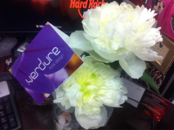 MarketingEm's tweet photo. #HappyMonday indeed! Thank you @VerdureFloral &amp; @aditVerdure for my gorgeous peonies! They look &amp; smell divine! x http://t.co/2rap8Svr2A