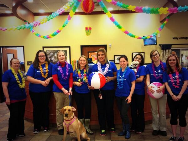 KAshK07's tweet photo. Kickoff to summer pool party! #inspiredbypets #wcpetm #glendale #1787 http://t.co/jub7CDLvho