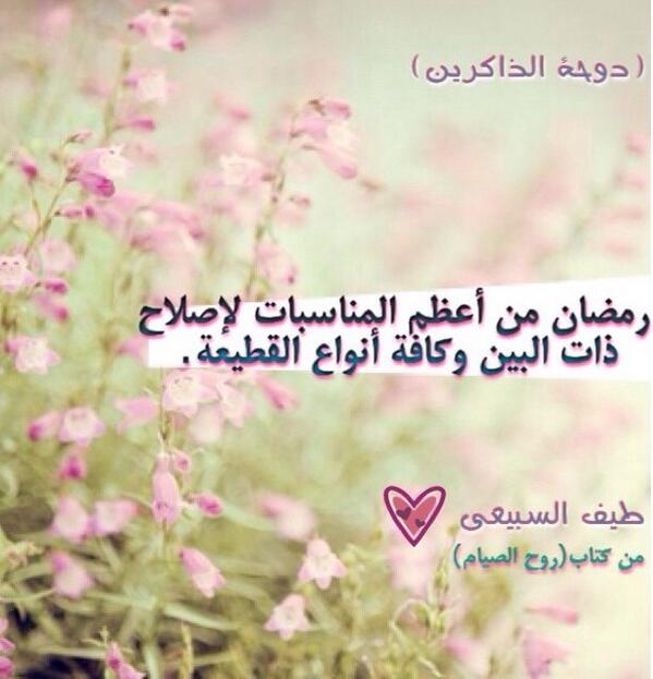 alsareh_s tweet picture