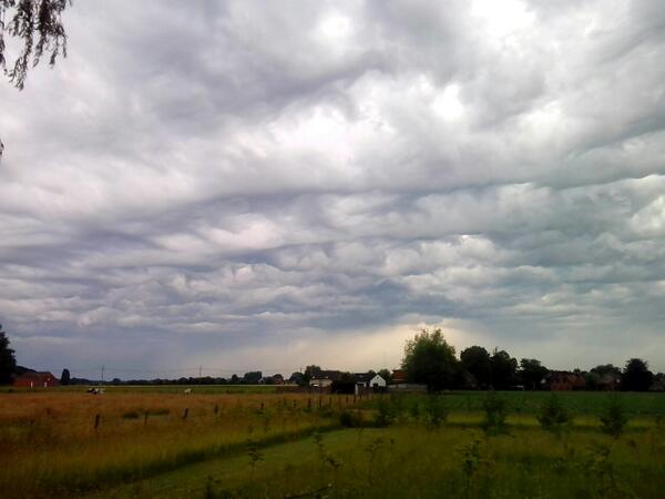frankdeboosere's tweet photo. Golfvormige patronen doen me denken aan stratocumulus lenticularis. http://t.co/Xh7O6ge6Re