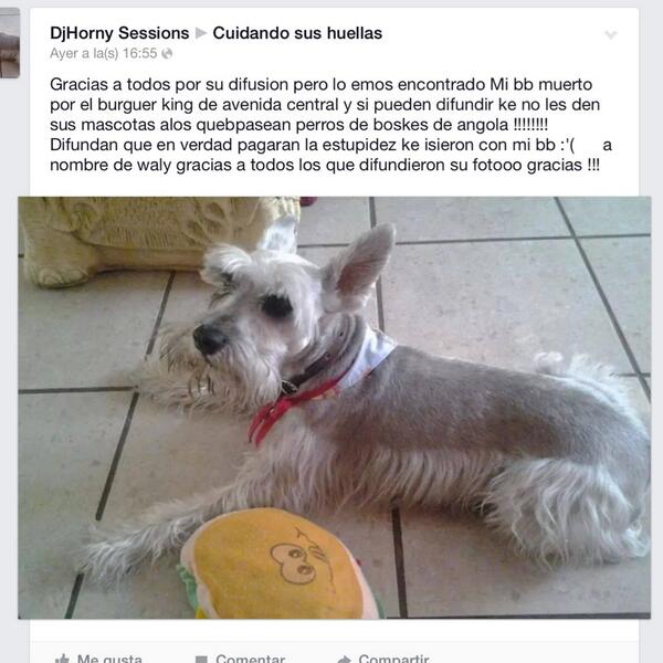 Clínica Veterinaria tweet media