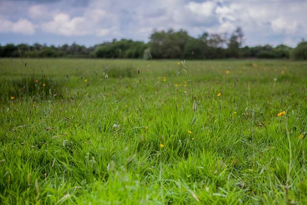 Permalien de l'image intégrée