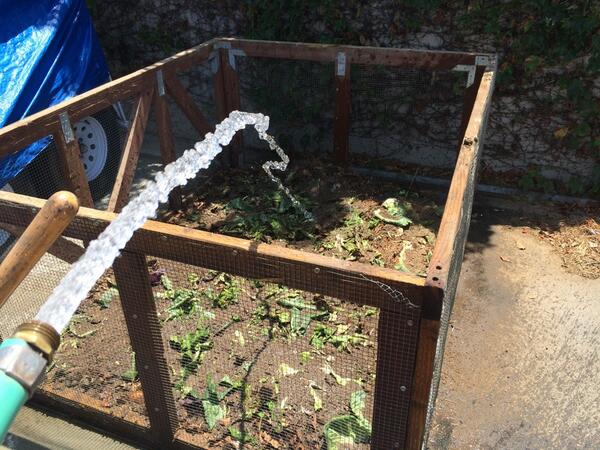 TheVicenteJr's tweet image. First layer of our compost is set. Now we wait. #selfefficient