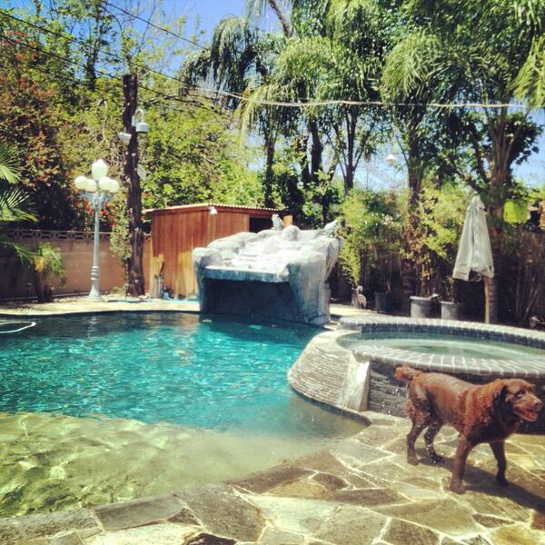 neekooo77's tweet image. 10 RTS and I'll throw a pool party? 😂 #amicoolnow #coolcats #imapartyanyway