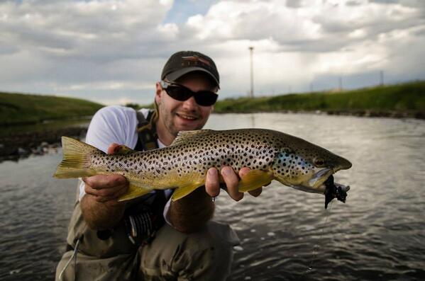 shane_rickert's tweet photo. Explored new water with @FlyFishJake the other day. This was the result.@ChiWulff @EchoFlyfishing http://t.co/qSpl7g5Dha