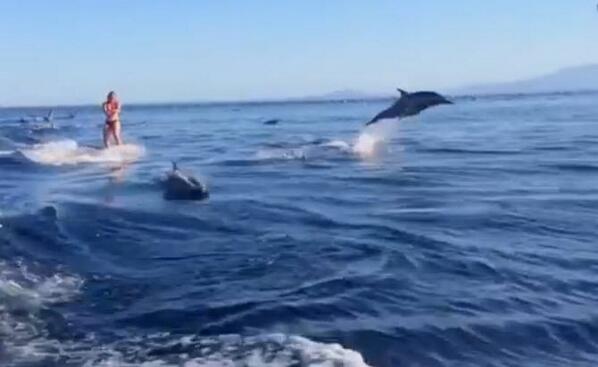 Baja Whale Watching (@bajawhales) on Twitter photo Check out the woman wake-boarding with dolphins at <a href="/BajaSurMexico/">Baja Sur Mexico</a> bajaurl.com/dolphinsurfing #BCSIN <a href="/TourismBCS/">Tourism BCS</a> Check out the woman wake-boarding with dolphins at <a href="/BajaSurMexico/">Baja Sur Mexico</a> bajaurl.com/dolphinsurfing #BCSIN <a href="/TourismBCS/">Tourism BCS</a>