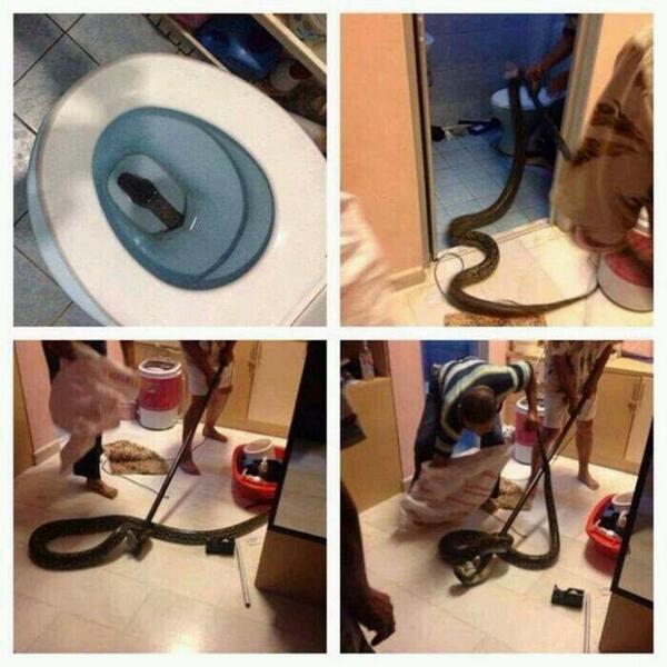 RlGHTEOUS's tweet photo. happy monday, here's everyone's worst fear :) http://t.co/6vasZx4s5l