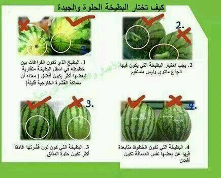 falah118811's tweet photo. بتيخه http://t.co/ilo3x1Q8GX