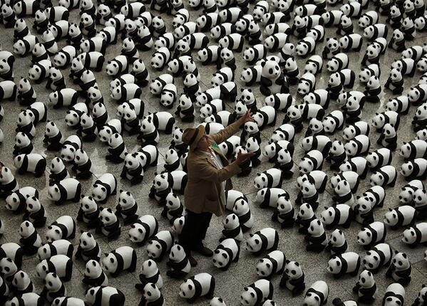 YahooNews's tweet photo. PHOTOS: French artist Paulo Grangeon's paper mache pandas at the Hong Kong airport - #POTD  http://t.co/LW4Uxy3g8m http://t.co/8MiiJ1QcfI