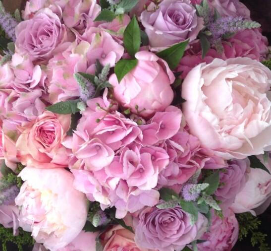 Andrea Patrick Byrne on Twitter: "The most beautiful birthday flowers ever! @simeonfarrar @realwildatheart Thank you XXX http://t.co/dh6rgULe9O"