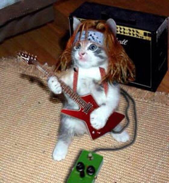 daveguitar82's tweet photo. http://t.co/VrsvGA3ip5