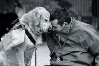 _Aitormonsa's tweet photo. Cuando un perro ve a su dueño, siente las mismas reacciones que nosotros  sentimos cuando estamos enamorados. http://t.co/ANJk8Lp8D9