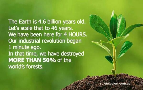 PantheraAfrica's tweet photo. Yeesh! What did the Earth ever do to us? #savehabitat #treevolution http://t.co/hkvj2enera