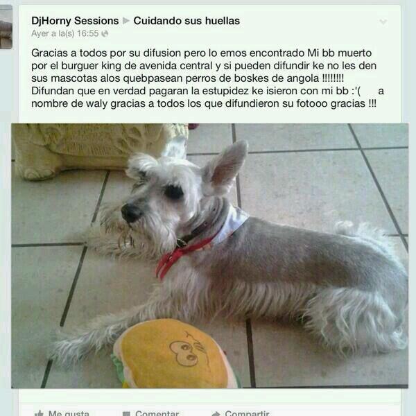 ElCroquetero's tweet photo. Amigos, mucho ojo cuando confiemos a nuestros mejores amigos. Waly ya apareció, lamentablemente el final no fue feliz http://t.co/Yptar8uuKR