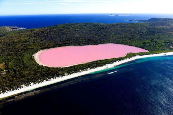 incredibleviews's tweet photo. Naturally colored pink lake... http://t.co/RvVmK0tJK3