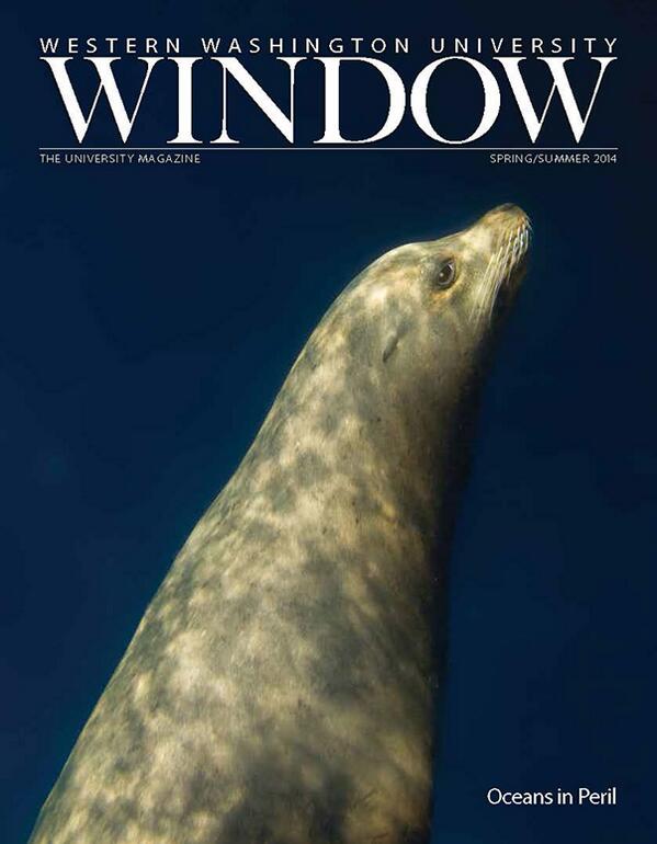 WWU's tweet photo. Have you seen this guy in your mail box yet? #windowmag http://t.co/Xj6Xv6iGWC