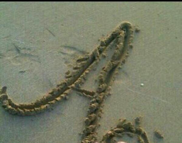 aaaswd1663's tweet photo. يُـ‘ـُزٍيُـ‘ـُنُـ‘ـُٱ ٱلُـ‘ـُحُـ‘ـُرفُـ‘ـُ (((Ă)))""" http://t.co/d3kV2rMUQr