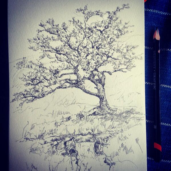 Cat Frampton On Twitter Drawing Of Hawthorn Tree By A Stream On Dartmoor Growjune Sketch Art Devon Devonartist Sketch Dailies Http T Co Jdj1ocd8ow