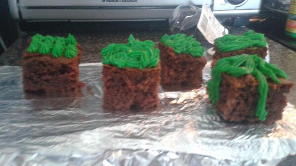 Booboo32194's tweet photo. #minecraft #brownies http://t.co/u0Gh9jkcjl