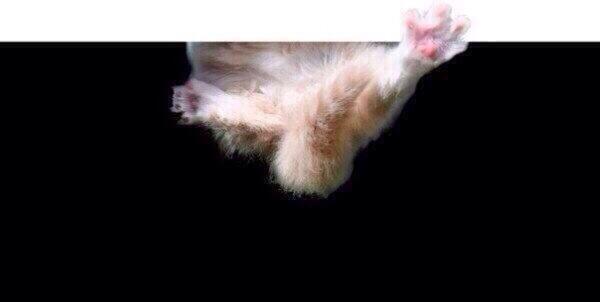 FerhatDolak (@fdolak) on Twitter photo 