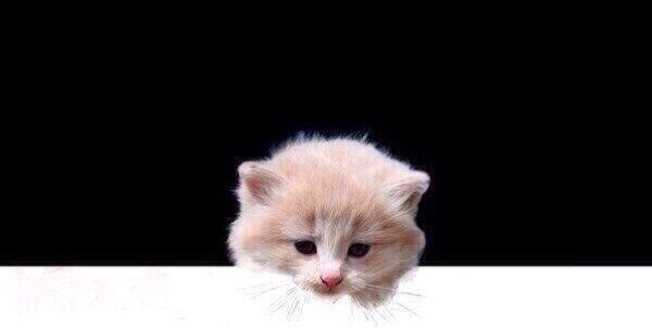 FerhatDolak (@fdolak) on Twitter photo 