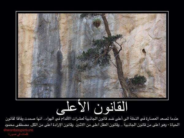 القانون الأعلى..