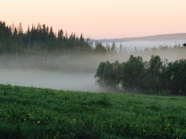 Nina_Aune's tweet image. Magical atmosphere :) #theassemblyline #mabf