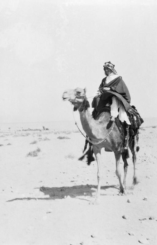 najla_alhomaizi's tweet image. لورنس العرب على جمله بالعقبة
١٩١٤