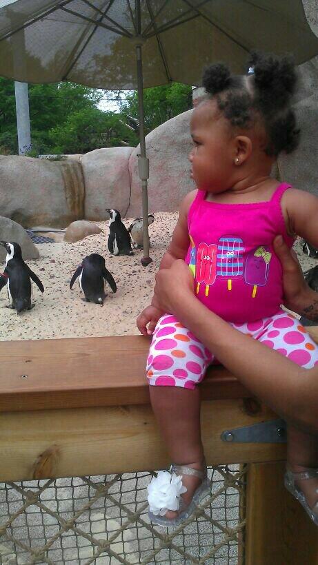 Jay Rozay (@Jusdarkskinswag) | Twitter