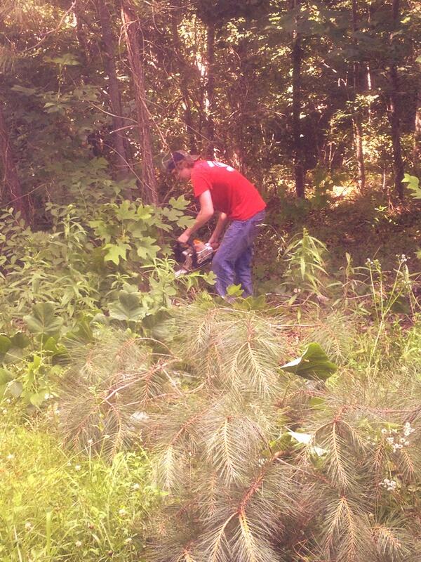 smithtanner69's tweet photo. Doing work #naturallight #powersaws http://t.co/PfFqkJtgfs