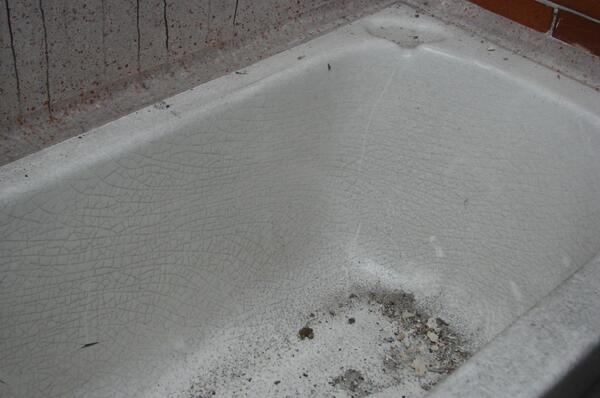 Alan Russell tweet media