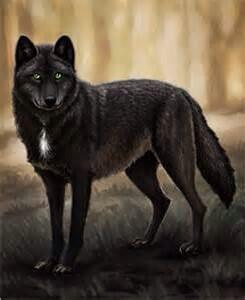 SamTheAlpha's tweet image. Sup peeps I'm back on