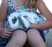 kennethrlewis's tweet image. Free Stewie! #freestewie 
mailtribune.com/apps/pbcs.dll/…